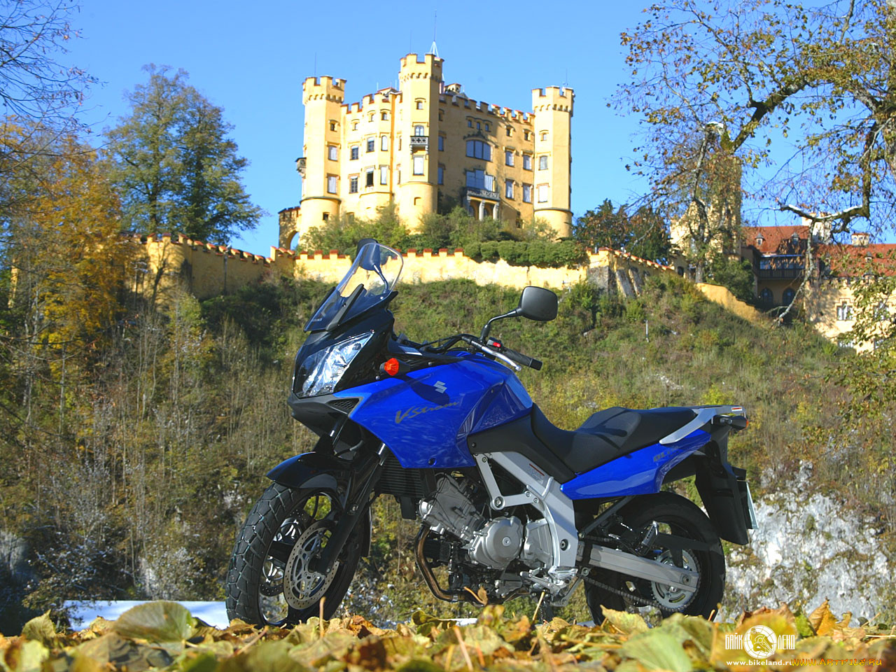, suzuki